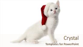  Presentation with blue eyes - PPT theme with blue eyes and christmas background and a cream colored foreground