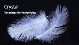  Presentation with blue line - Cool new presentation design with blue feather on a black backdrop and a wine colored foreground