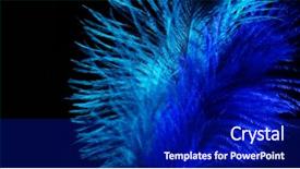  Presentation with blue black and silver - Beautiful slide deck featuring blue feather on black background backdrop and a navy blue colored foreground