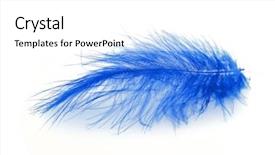  Presentation with feather - Presentation theme featuring blue feather over white background background and a white colored foreground