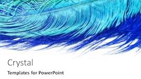  Presentation with carnival - 