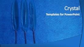  Presentation with for blue colored resource - Colorful PPT theme enhanced with blue feathers on a blue backdrop and a teal colored foreground