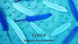 Presentation with blue angels - PPT theme having blue feathers on a blue background and a cyan colored foreground
