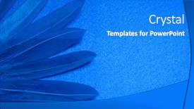  Presentation with blue weather vane - Slide set consisting of blue-feathers-on-a-blue background and a gray colored foreground