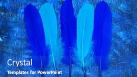  Presentation with carnival - Colorful theme enhanced with blue-feathers-on-white-background backdrop and a cobalt blue colored foreground