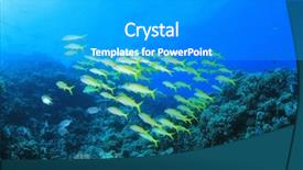  Presentation with school liability - Cool new theme with blue fish - school of goatfish backdrop and a  colored foreground