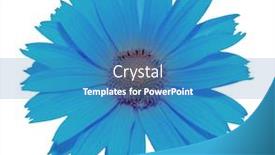  Presentation with blue flower - Presentation theme with blue-flower-isolated-on-white background and a teal colored foreground