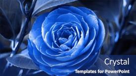  Presentation with blue flower - Amazing PPT theme having blue-flower backdrop and a ocean colored foreground