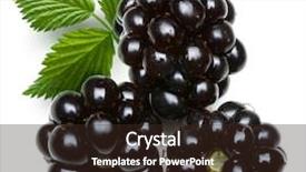  Presentation with blackberry - Presentation theme consisting of blue fruits - blackberry or dewberry with blackberry background and a  colored foreground