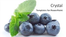  Presentation with blueberries - Colorful theme enhanced with blue fruits - blueberries and menthe studio isolated backdrop and a white colored foreground
