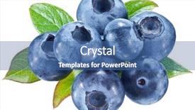  Presentation with blueberries - Amazing slide deck having blue fruits - blueberries with leaves backdrop and a ocean colored foreground