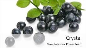  Presentation with blueberry - Colorful PPT layouts enhanced with blue fruits - blueberry isolated backdrop and a white colored foreground