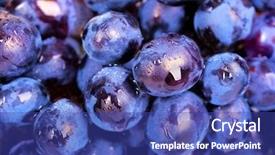  Presentation with bunch - Audience pleasing PPT theme consisting of blue fruits - bunch of grapes as background backdrop and a ocean colored foreground