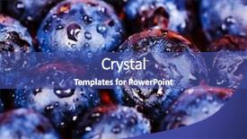  Presentation with blueberries - Beautiful presentation theme featuring blue fruits - closeup on fresh blueberries backdrop and a ocean colored foreground