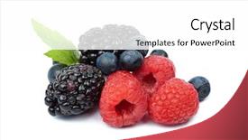  Presentation with berries - Audience pleasing presentation theme consisting of blue fruits - fresh berries isolated backdrop and a white colored foreground