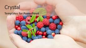  Presentation with hands holding - Amazing presentation having blue fruits - hands holding fresh berries backdrop and a  colored foreground
