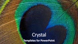  Presentation with peacock feather - Slides featuring blue gold abstract - detailed photo of a beautiful background and a navy blue colored foreground