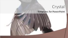  Presentation with flight - Presentation theme enhanced with blue-great-tit-in-flight background and a white colored foreground