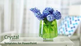  Presentation with flowers vase - Presentation having blue green - beautiful hyacinth flowers in glass background and a mint green colored foreground