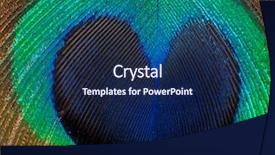  Presentation with peacock feather - PPT layouts with blue green abstract - detailed photo of a beautiful background and a navy blue colored foreground