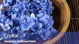  Presentation with hydrangea - Beautiful slides featuring blue hydrangea flower in a bowl on mat backdrop and a ocean colored foreground