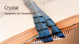  Presentation with open book - Slides with blue jay - open antique book with feather background and a lemonade colored foreground