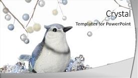  Presentation with sparkly - Presentation theme consisting of blue jay sitting on sparkly background and a  colored foreground