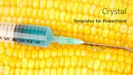  Presentation with corn - PPT theme with blue-liquid-into-syringe background and a yellow colored foreground