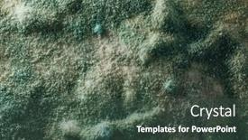  Presentation with mold - Colorful presentation design enhanced with blue-mold-background-macro-view backdrop and a tawny brown colored foreground