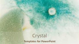  Presentation with mold - Slide set enhanced with blue-mold-background-macro-view background and a soft green colored foreground