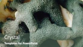  Presentation with mold - Amazing presentation design having blue-mold-background-macro-view backdrop and a gray colored foreground