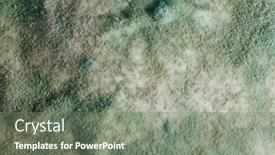  Presentation with mold - Beautiful PPT layouts featuring blue-mold-background-macro-view backdrop and a gray colored foreground