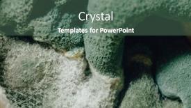 Presentation with mold - PPT layouts having blue-mold-background-macro-view background and a ocean colored foreground