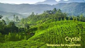  Presentation with tea plantation - Beautiful PPT theme featuring blue mountain - beautiful fresh green tea plantation backdrop and a tawny brown colored foreground