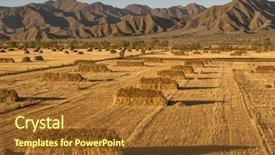  Presentation with blue mountain - PPT layouts consisting of blue mountain - wheat field landscape in tiebt background and a tawny brown colored foreground