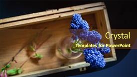  Presentation with blue - Audience pleasing slide set consisting of blue-muscari-in-the-vase backdrop and a tawny brown colored foreground