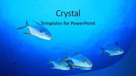 Presentation with fish ocean - Cool new PPT layouts with blue ocean and fish pompano backdrop and a light gray colored foreground