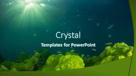  Presentation with green algae - Theme having blue-ocean-sunlight-and-green background and a ocean colored foreground