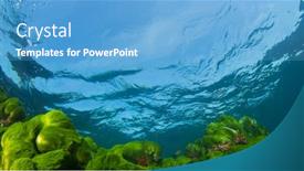  Presentation with green algae - Audience pleasing PPT layouts consisting of blue-ocean-sunlight-and-green backdrop and a teal colored foreground