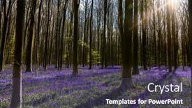  Presentation with brussels - PPT layouts consisting of blue-or-purple-hyacinth-wildflowers background and a dark gray colored foreground