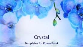  Presentation with floral - PPT theme enhanced with blue orchid - floral background water reflection background and a sky blue colored foreground