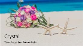  Presentation with fish beach - PPT layouts with blue pink - wedding rings on star fish background and a light gray colored foreground