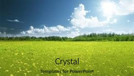  Presentation with jasmine spring flowers - PPT layouts with blue plain - field of spring flowers background and a gold colored foreground