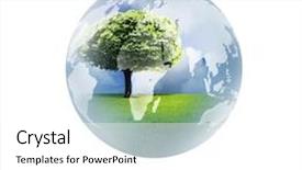  Presentation with globe - Cool new slides with blue planet - tree and globe backdrop and a white colored foreground