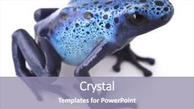  Presentation with poison - Amazing presentation design having blue poison dart frog dendrobates backdrop and a light blue colored foreground