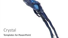  Presentation with poison - Presentation design featuring blue-poison-dart-frog-jumping background and a white colored foreground