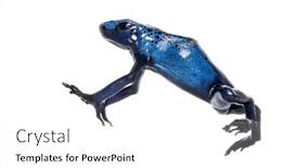  Presentation with poison - Presentation theme enhanced with blue-poison-dart-frog-jumping background and a white colored foreground