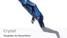  Presentation with poison - Slide deck featuring blue-poison-dart-frog-jumping background and a white colored foreground