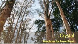  Presentation with low angle view of volleyball - Amazing slide set having blue red angles - low angle view backdrop and a tawny brown colored foreground