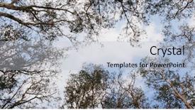  Presentation with low angle view of volleyball - Slide deck with blue red angles - low angle view background and a light blue colored foreground